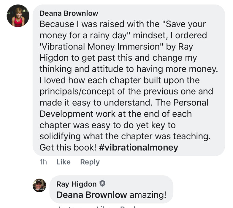 Vibrational Money Immersion Book