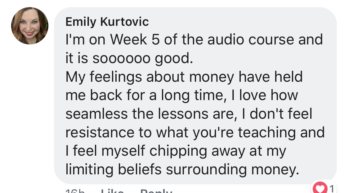 Vibrational Money Immersion Book