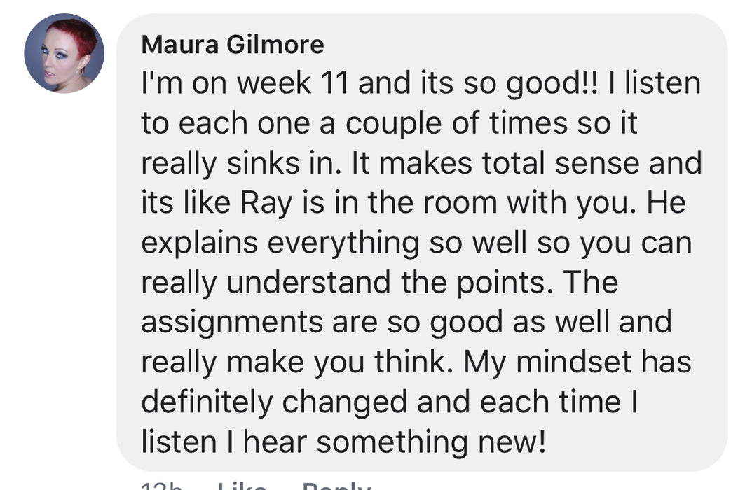 Vibrational Money Immersion Book