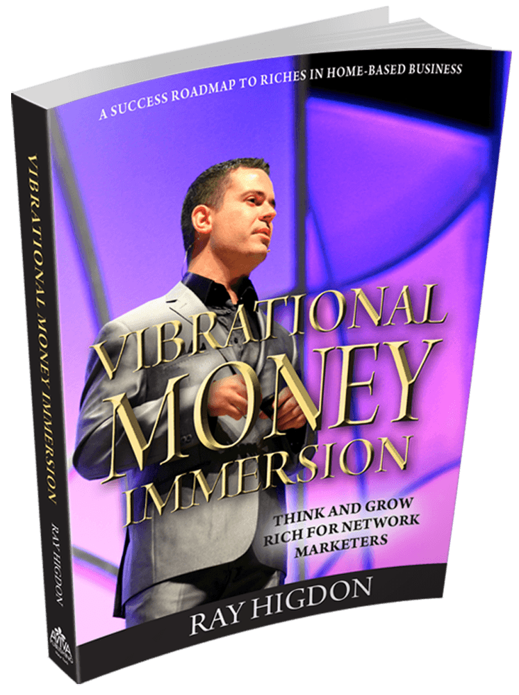 Vibrational Money Immersion Book